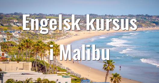 Facebook Share Box bybillede