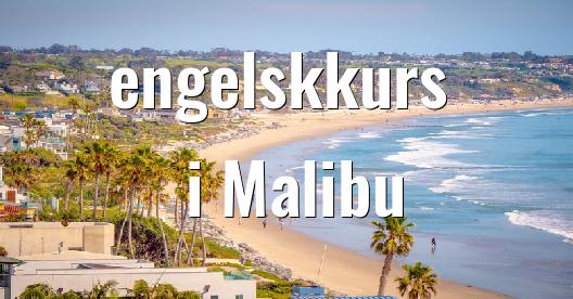 Facebook delingsboks bybilde