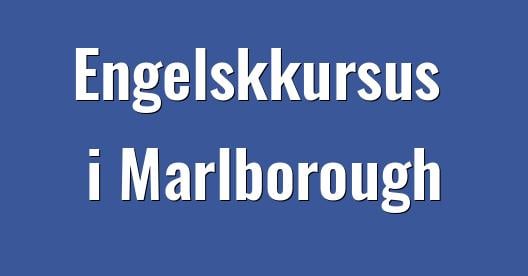 Facebook Share Box bybillede