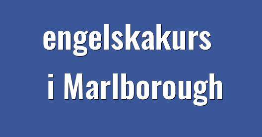 Facebook delningsbox stadssida