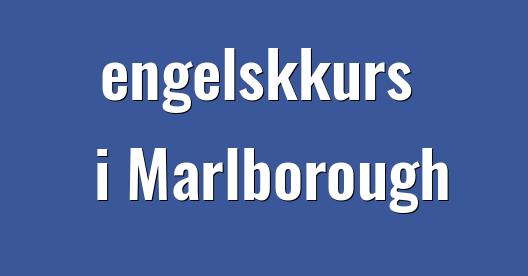 Facebook delingsboks bybilde