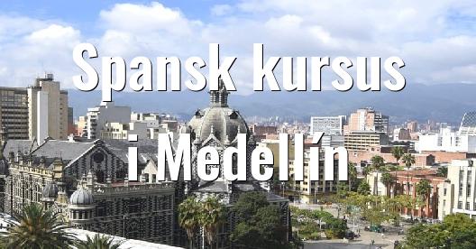 Facebook Share Box bybillede