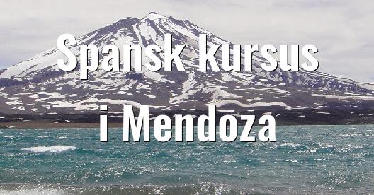 Facebook Share Box bybillede