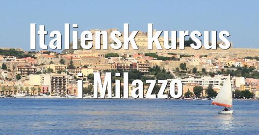 Facebook Share Box bybillede