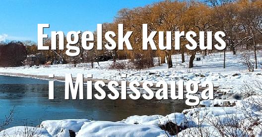 Facebook Share Box bybillede