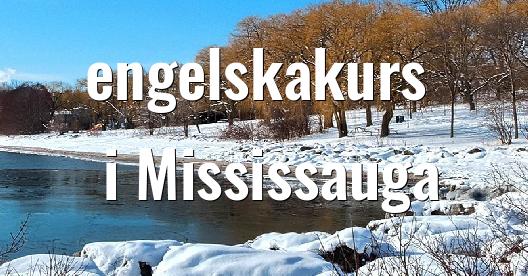 Facebook delningsbox stadssida