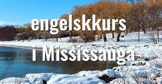 Facebook delingsboks bybilde