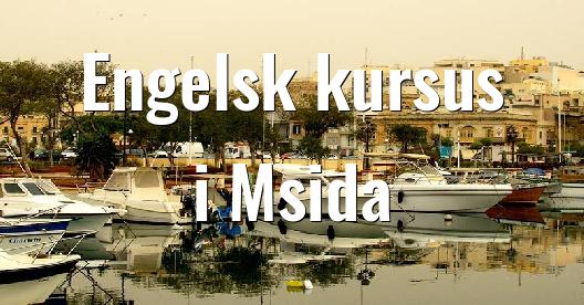 Facebook Share Box bybillede