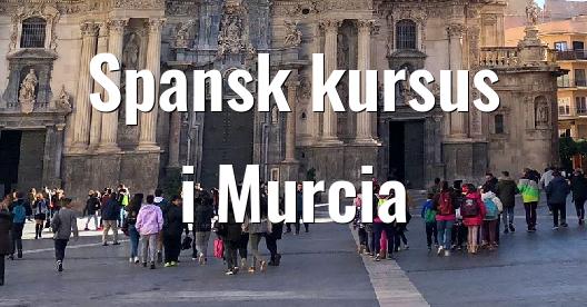 Facebook Share Box bybillede