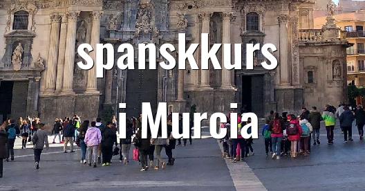 Facebook delingsboks bybilde