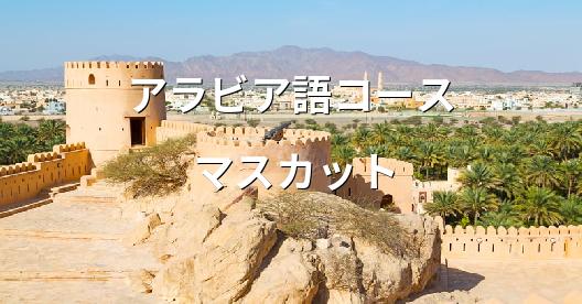 Facebook共有ボックスの都市イメージ