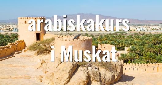 Facebook delningsbox stadssida