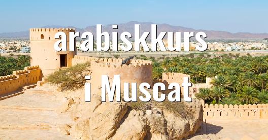 Facebook delingsboks bybilde