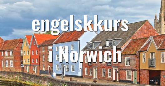 Facebook delingsboks bybilde