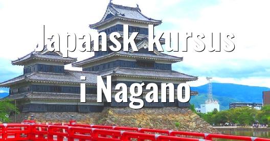 Facebook Share Box bybillede