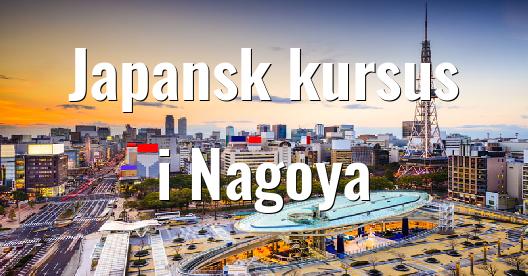 Facebook Share Box bybillede