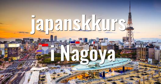 Facebook delingsboks bybilde