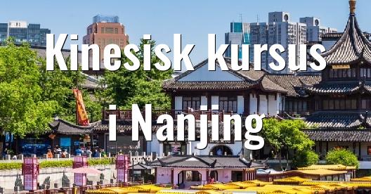 Facebook Share Box bybillede