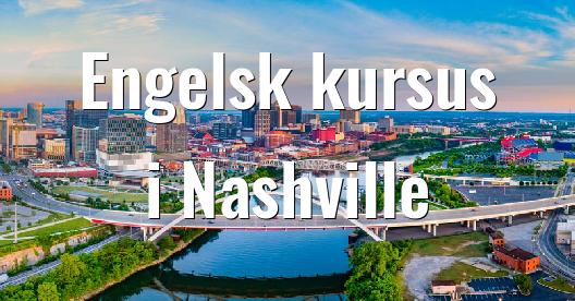 Facebook Share Box bybillede