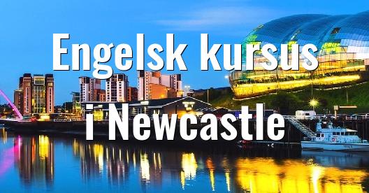 Facebook Share Box bybillede