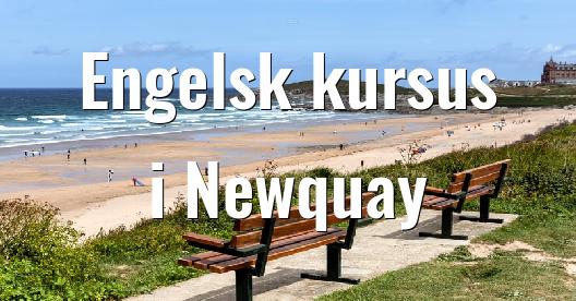 Facebook Share Box bybillede