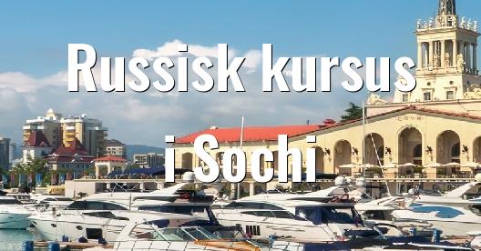 Facebook Share Box bybillede