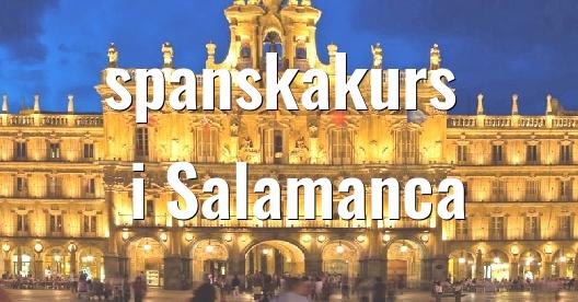 Facebook delningsbox stadssida