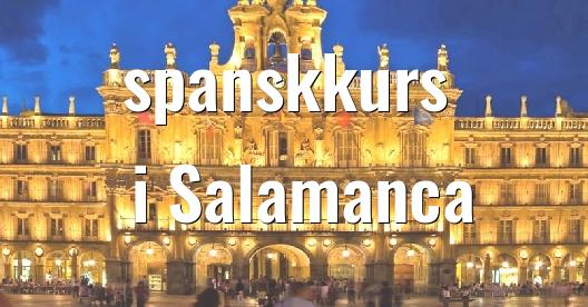 Facebook delingsboks bybilde