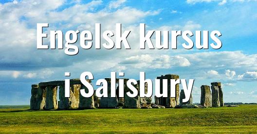 Facebook Share Box bybillede