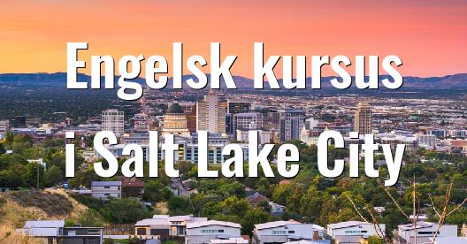 Facebook Share Box bybillede