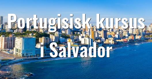 Facebook Share Box bybillede