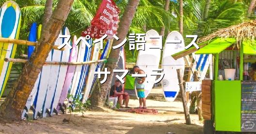 Facebook共有ボックスの都市イメージ