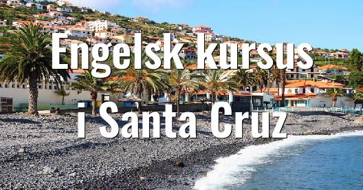 Facebook Share Box bybillede