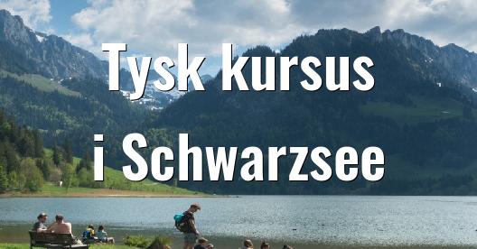 Facebook Share Box bybillede