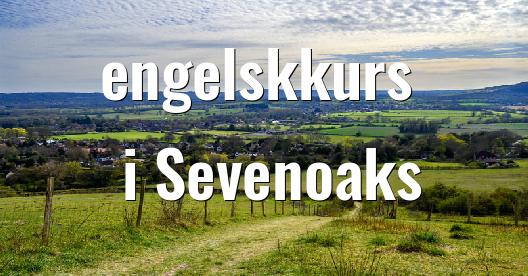 Facebook delingsboks bybilde