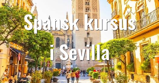 Facebook Share Box bybillede