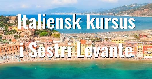 Facebook Share Box bybillede