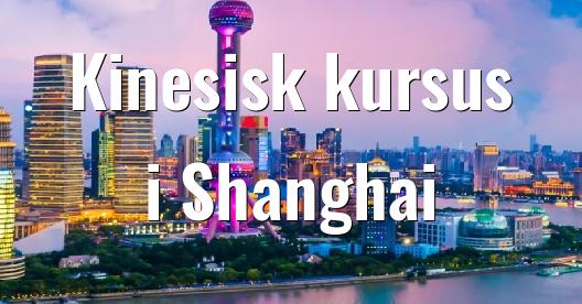 Facebook Share Box bybillede