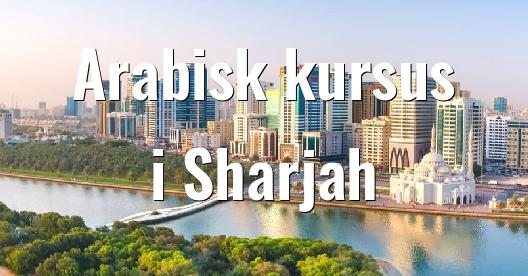 Facebook Share Box bybillede