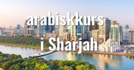 Facebook delingsboks bybilde