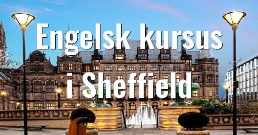 Facebook Share Box bybillede