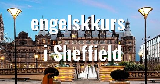 Facebook delingsboks bybilde