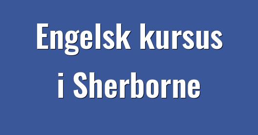 Facebook Share Box bybillede