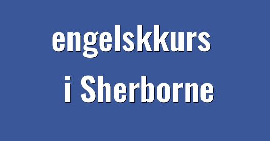 Facebook delingsboks bybilde