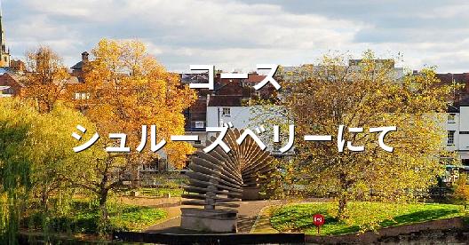 Facebook共有ボックスの都市イメージ