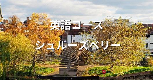 Facebook共有ボックスの都市イメージ