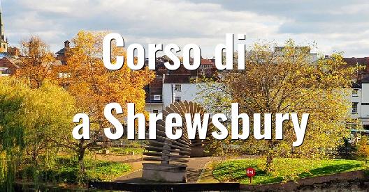 Immagine della città da condividere su Facebook 