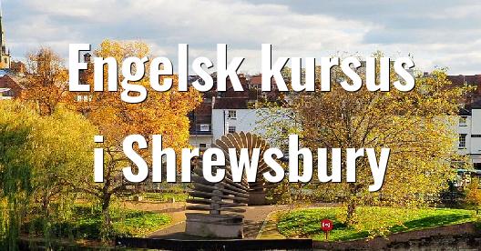 Facebook Share Box bybillede