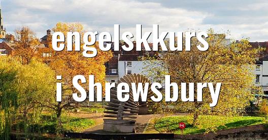 Facebook delingsboks bybilde