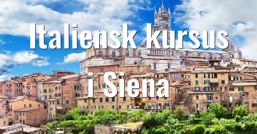 Facebook Share Box bybillede